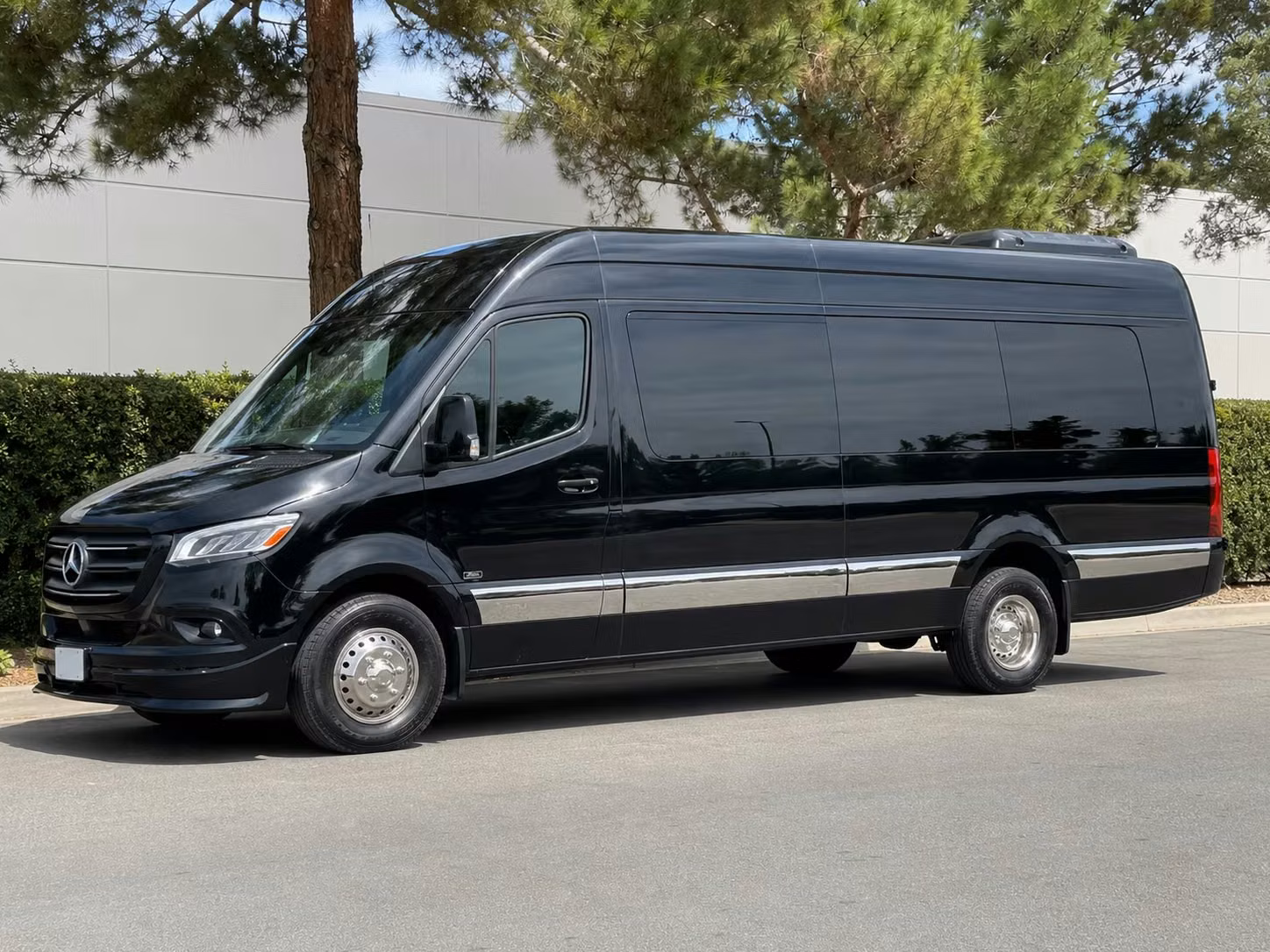 sprinter van with driver